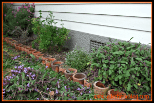 Clear out herb garden