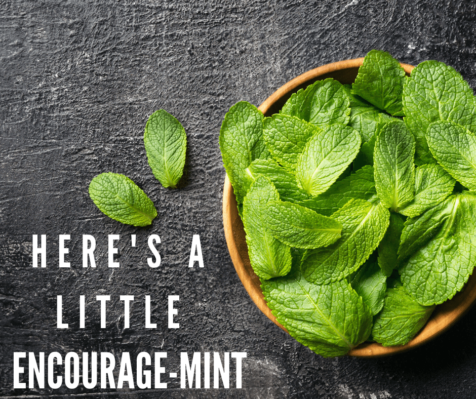 Mint Leaves