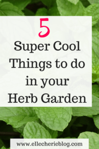 5 Super cool things to do in your herb garden