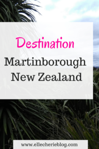 Destination Martinborough NZ