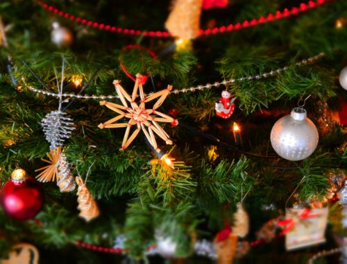 Close-up of Christmas Decoration Hanging on Tree